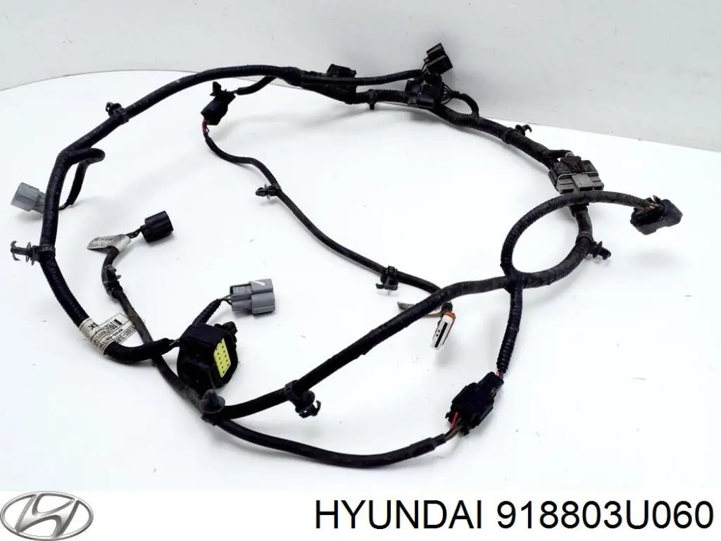 918803U060 Hyundai/Kia 