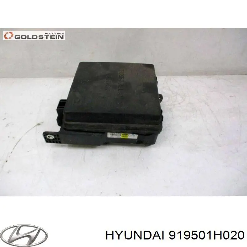 Купити 919501H020 Hyundai/Kia Корпус запобіжників