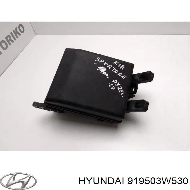 919503W530 Hyundai/Kia 