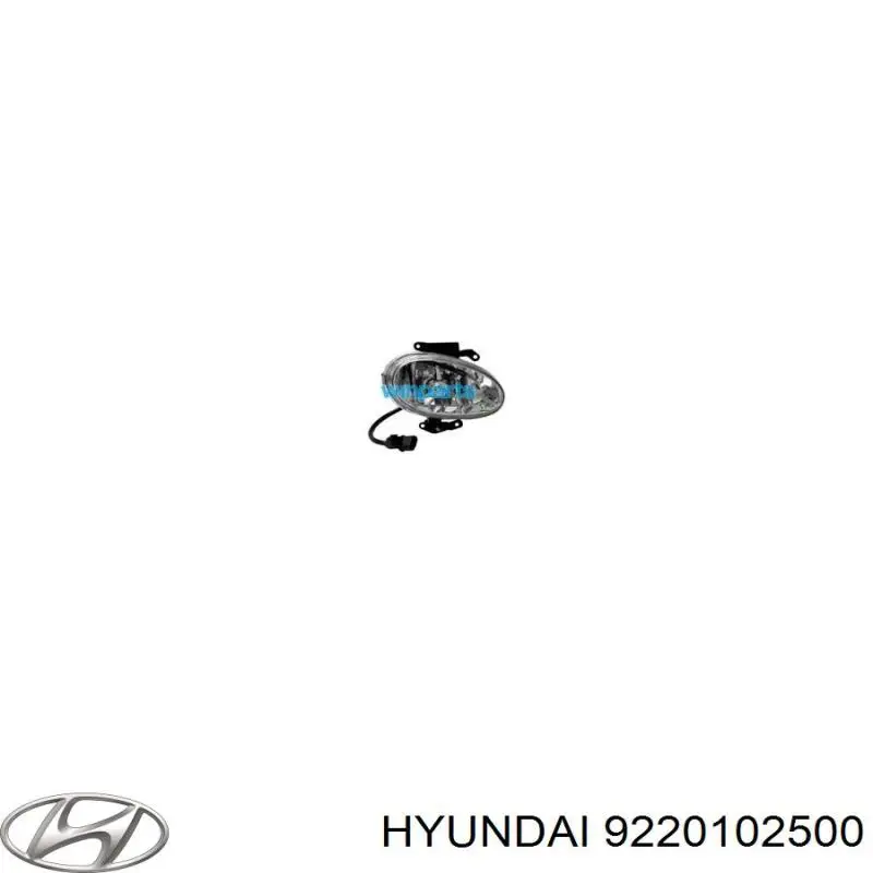 9220102500 Hyundai/Kia Протитуманка ліва