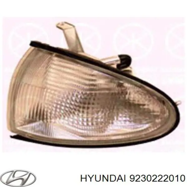 Купити 9230222010 Hyundai/Kia Вказівник повороту правий