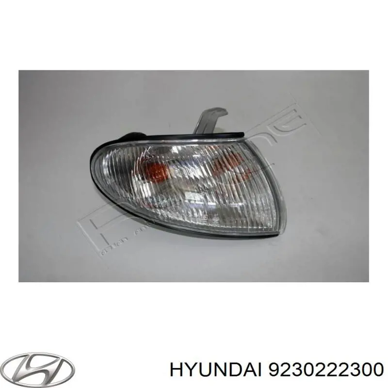 9230222300 Hyundai/Kia покажчик повороту лівий