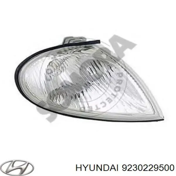 Правий покажчик повороту - лампа Hyundai/Kia 9230229500 ціна, від 13.74 USD