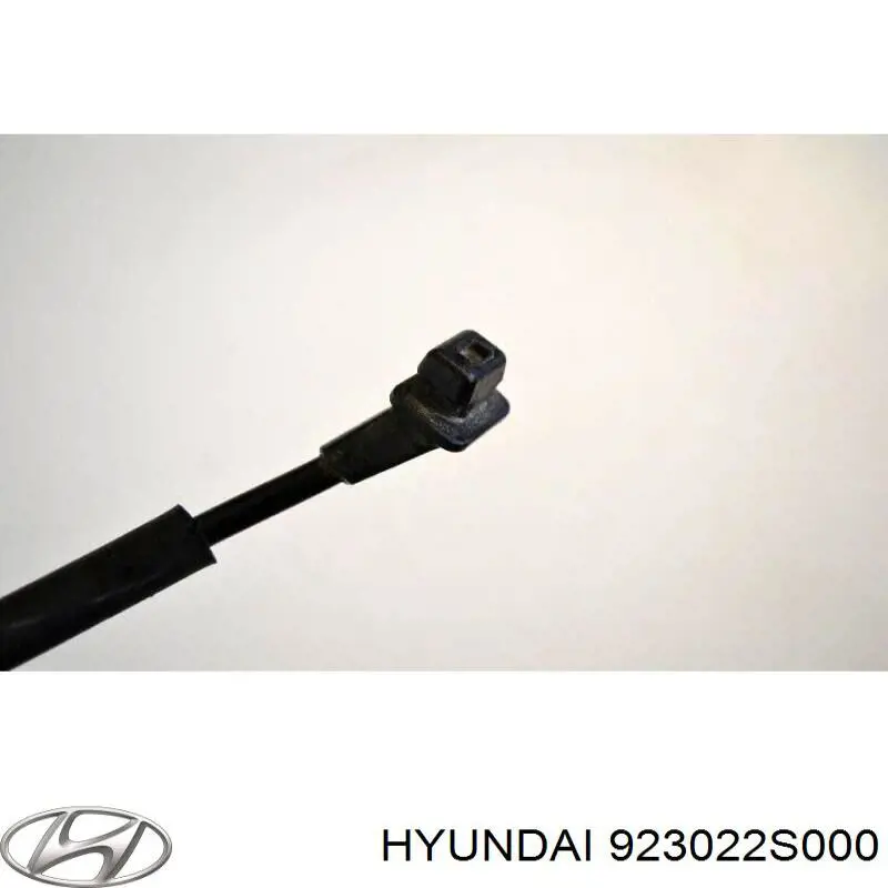 Повторювач повороту на крилі, правий Hyundai/Kia 923022S000 ціна, від 5.07 USD