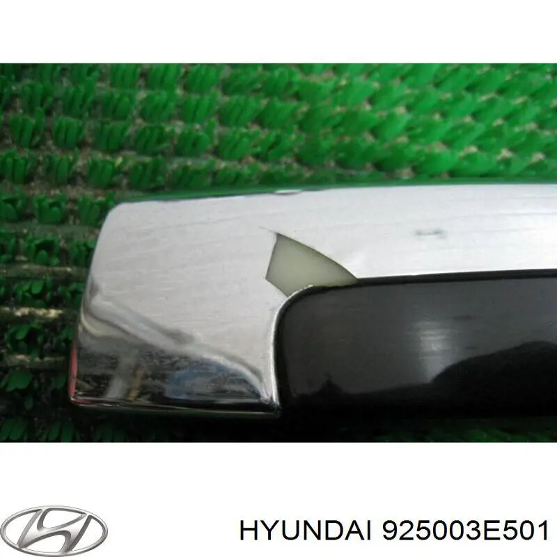 925003E501 Hyundai/Kia Ліхтар освітлення номерного знака