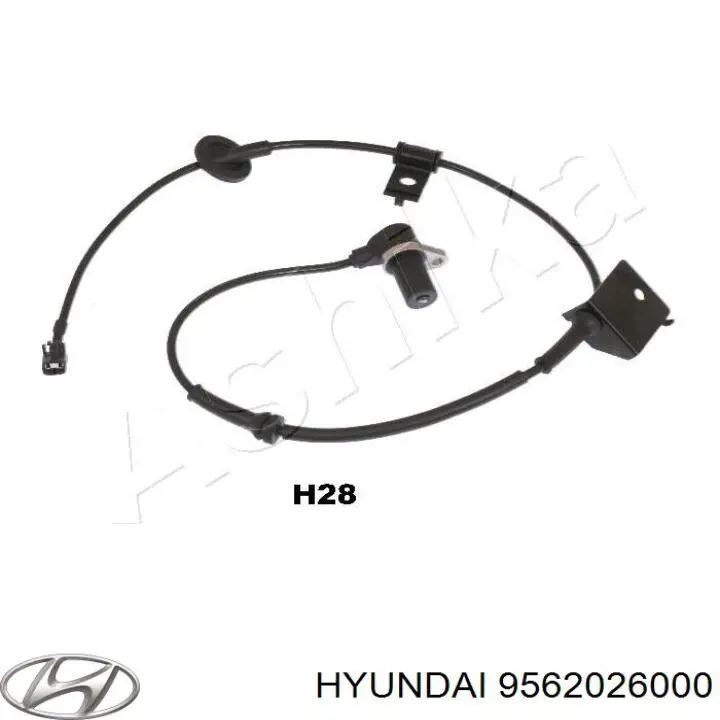 Датчик АБС (ABS) передній, правий 9562026000 Hyundai/Kia