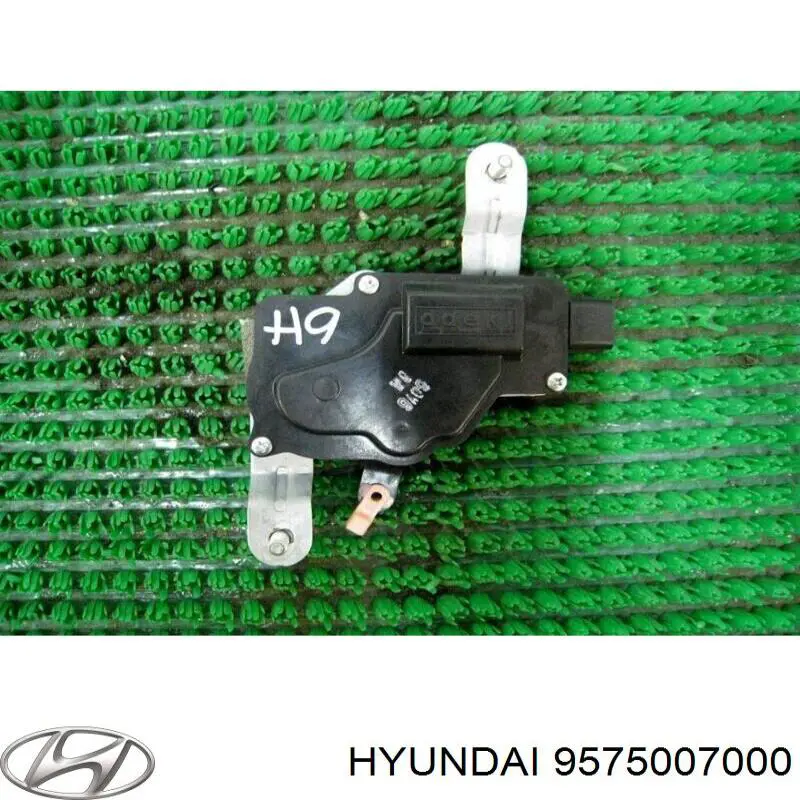 Актуатор замка багажника (задніх дверей) Hyundai/Kia 9575007000 ціна, від 21.14 USD