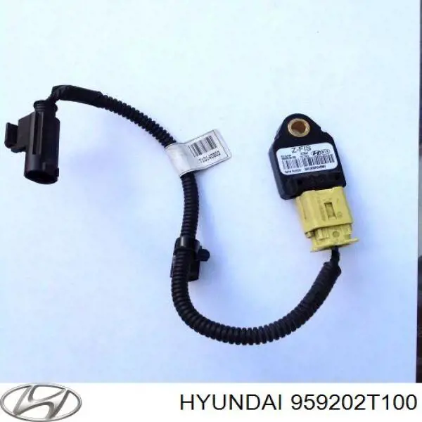  959202T100 Hyundai/Kia