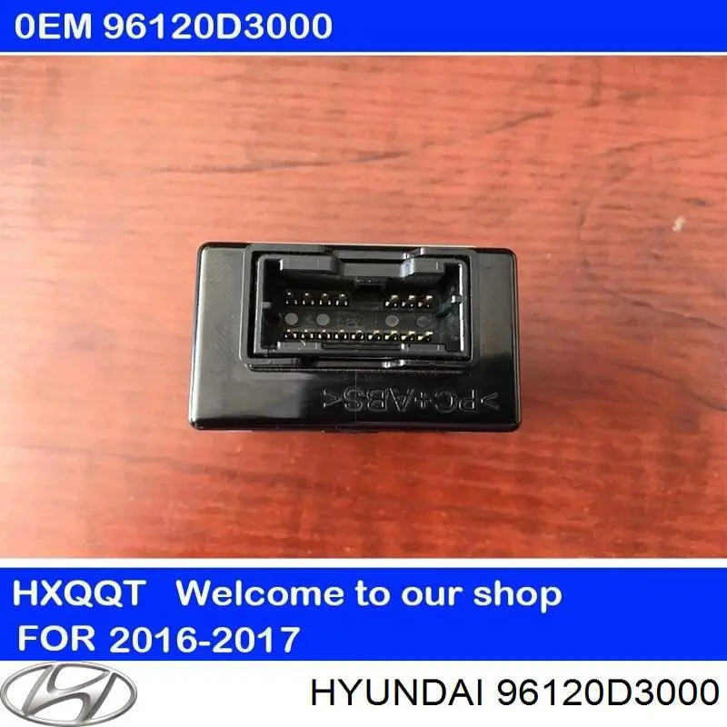 96120D3000 Hyundai/Kia 