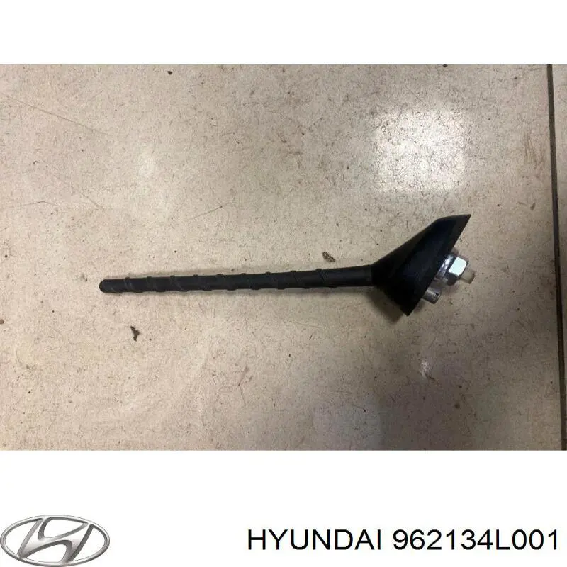962134L001 Hyundai/Kia 