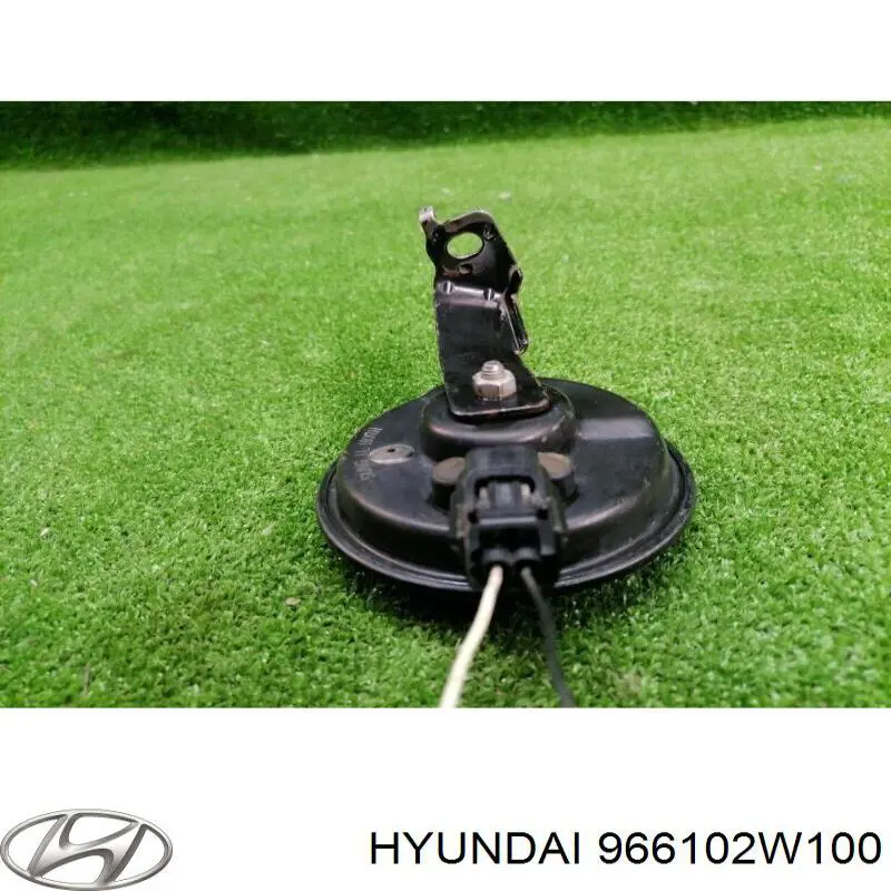 966102W100 Hyundai/Kia 