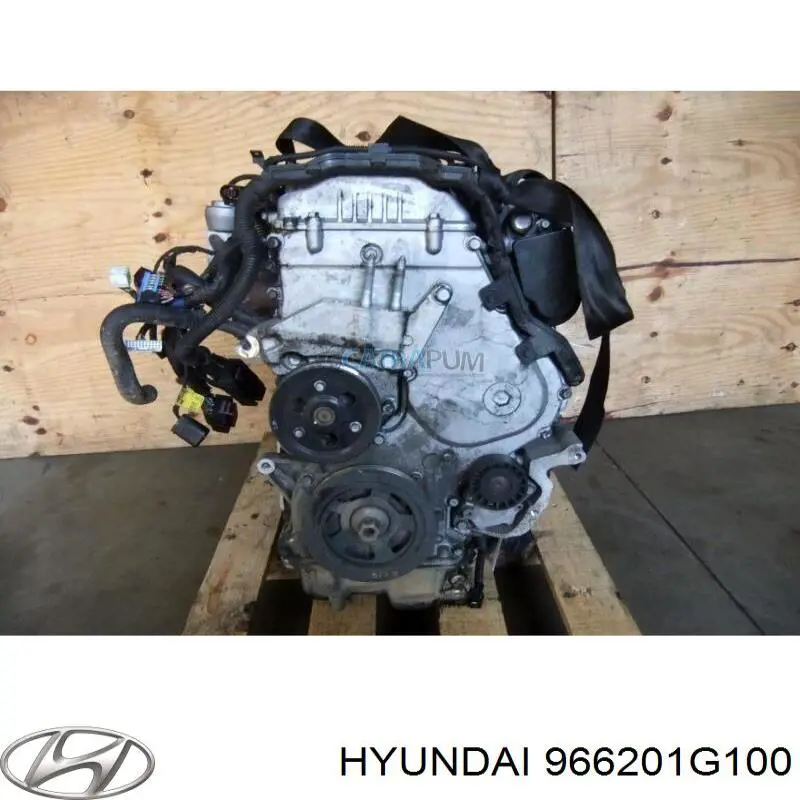 Сигнал звуковий (клаксон) 966201G100 Hyundai/Kia