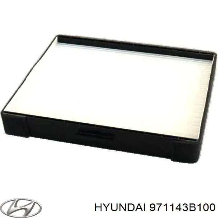 971143B100 Hyundai/Kia Внутрішньосалонний фільтр
