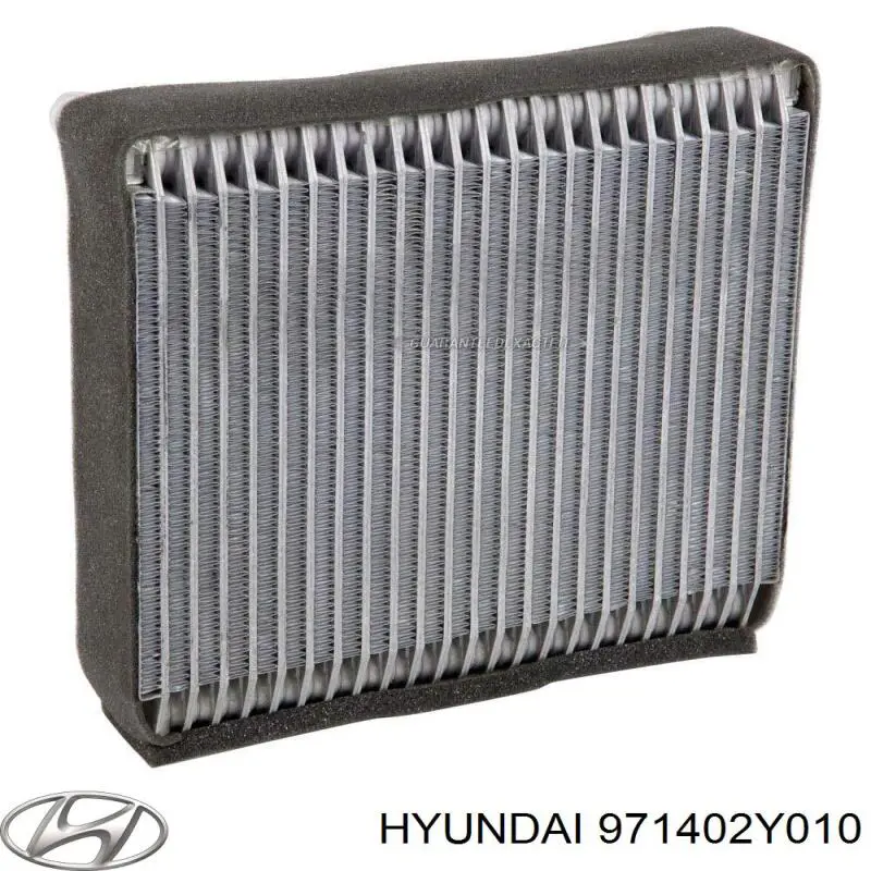 Випаровувач кондиціонера Hyundai/Kia 971402Y010 ціна, від 110.91 USD