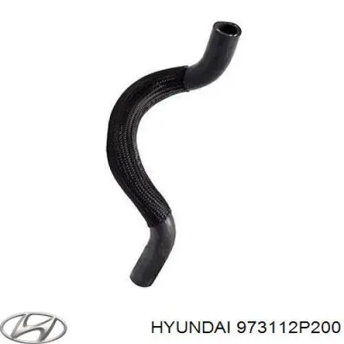 Купити 973112P200 Hyundai/Kia 