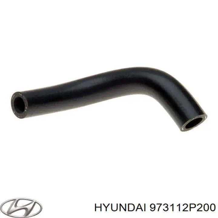 973112P200 Hyundai/Kia 
