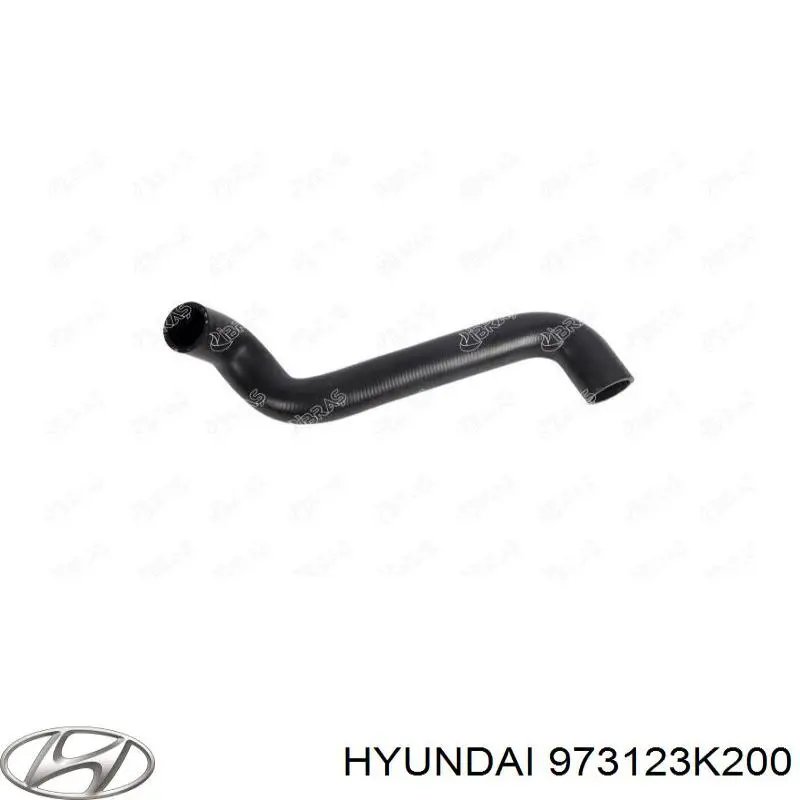 973123K200 Hyundai/Kia 
