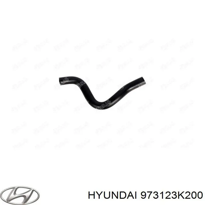  Hyundai/Kia 973123K200