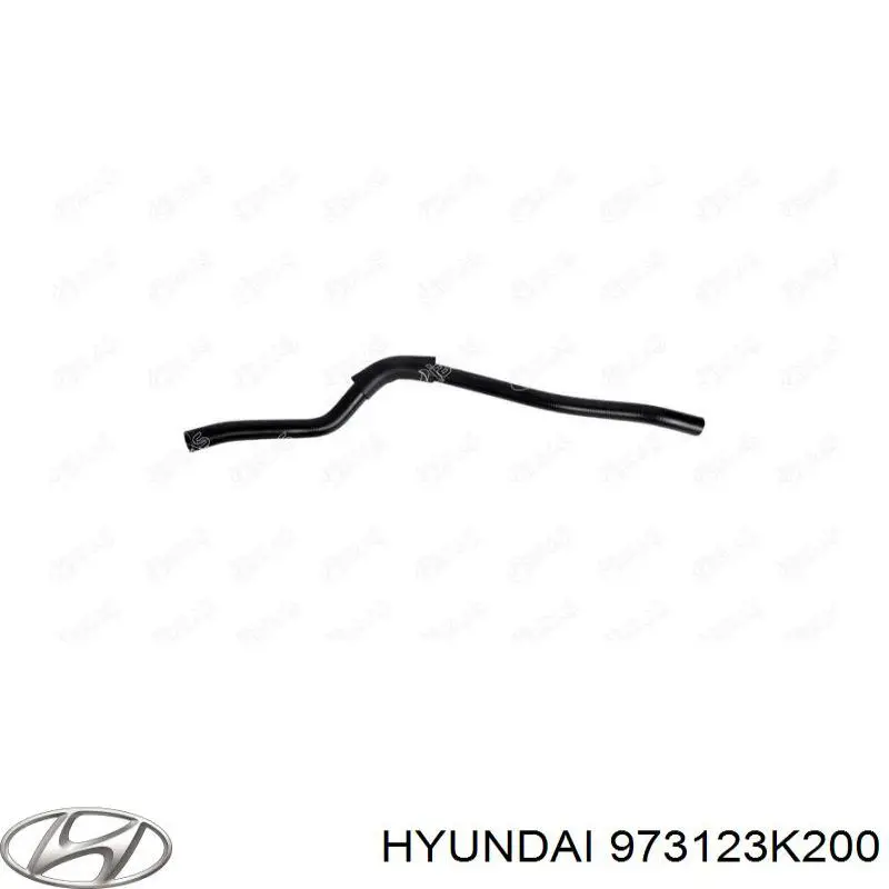 973123K200 Hyundai/Kia 