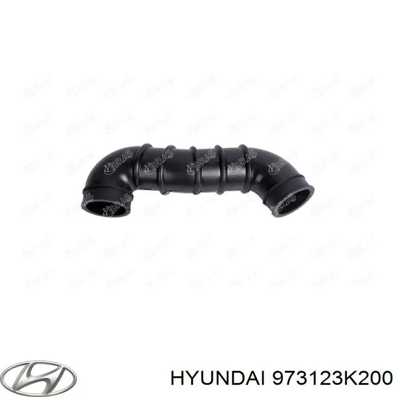  Hyundai/Kia 973123K200 ціна, від 25.34 USD