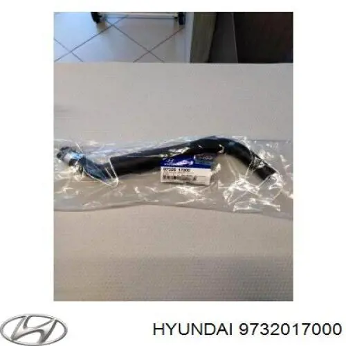  Hyundai/Kia 9732017000 ціна, від 32.78 USD