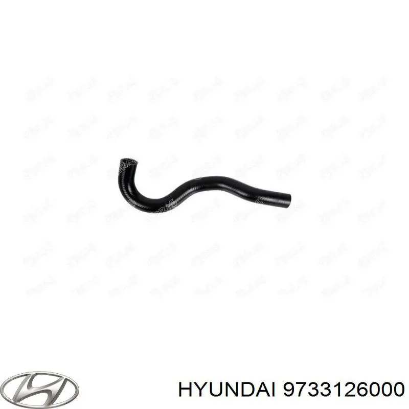 9733126000 Hyundai/Kia 
