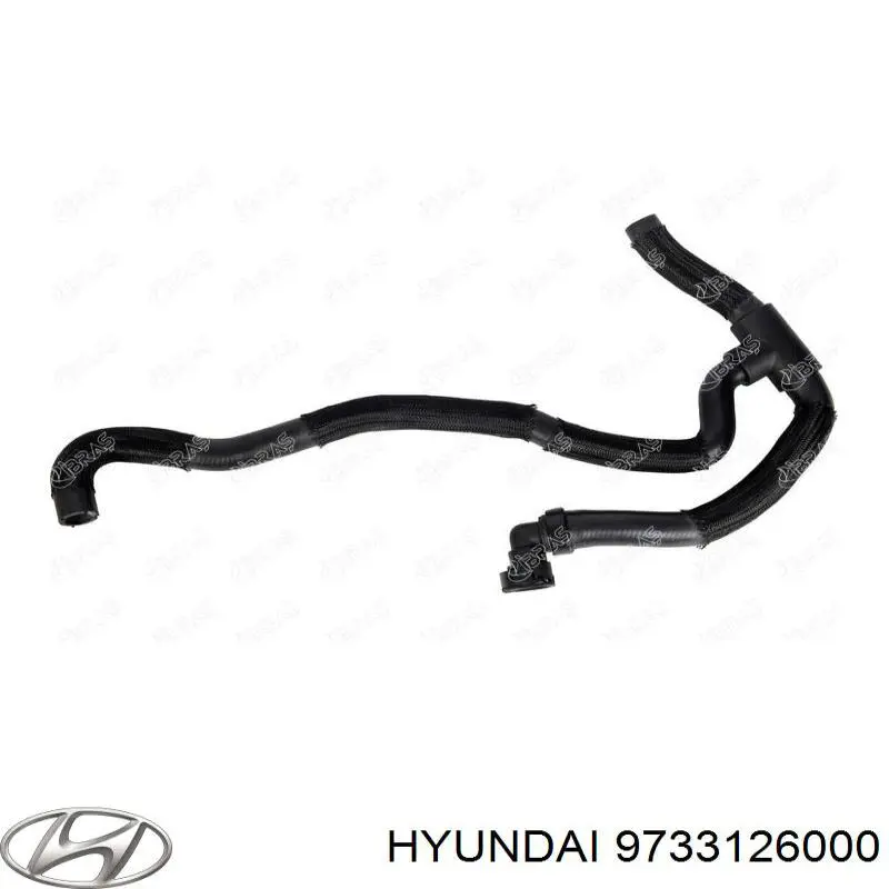  9733126000 Hyundai/Kia