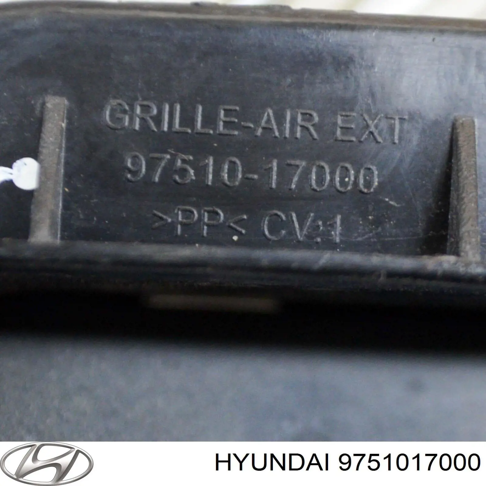 Решітка задня вентиляції салону, ліва Hyundai/Kia 9751017000 ціна, від 12.67 USD