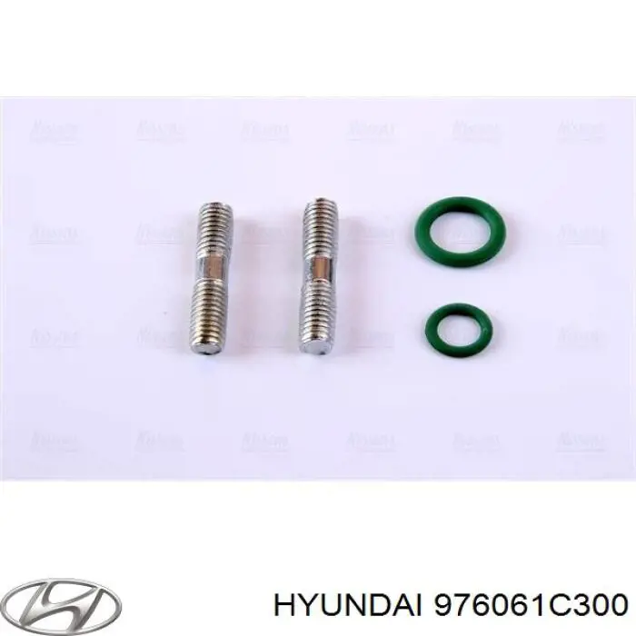 Радіатор охолодження кондиціонера Hyundai/Kia 976061C300