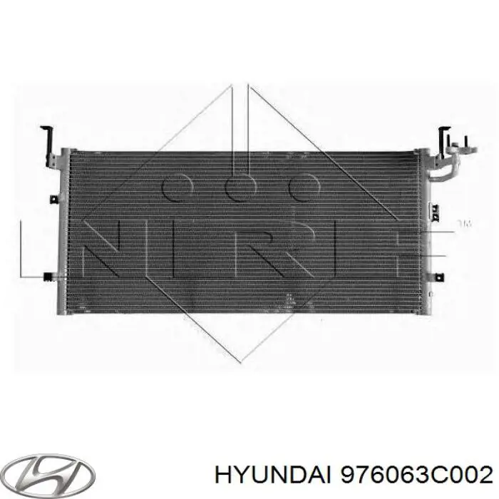  976063C002 Hyundai/Kia