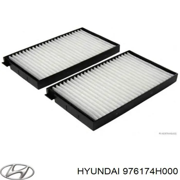 Купити 976174H000 Hyundai/Kia Фільтр салону вугільний