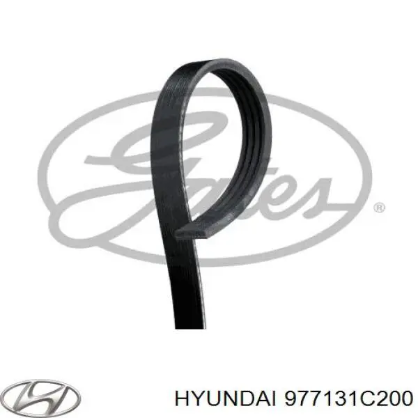 Ремінь генератора 977131C200 Hyundai/Kia