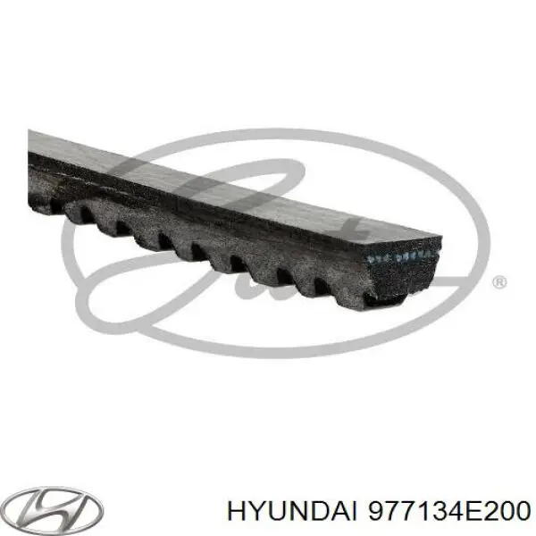 Купити 977134E200 Hyundai/Kia Ремінь генератора