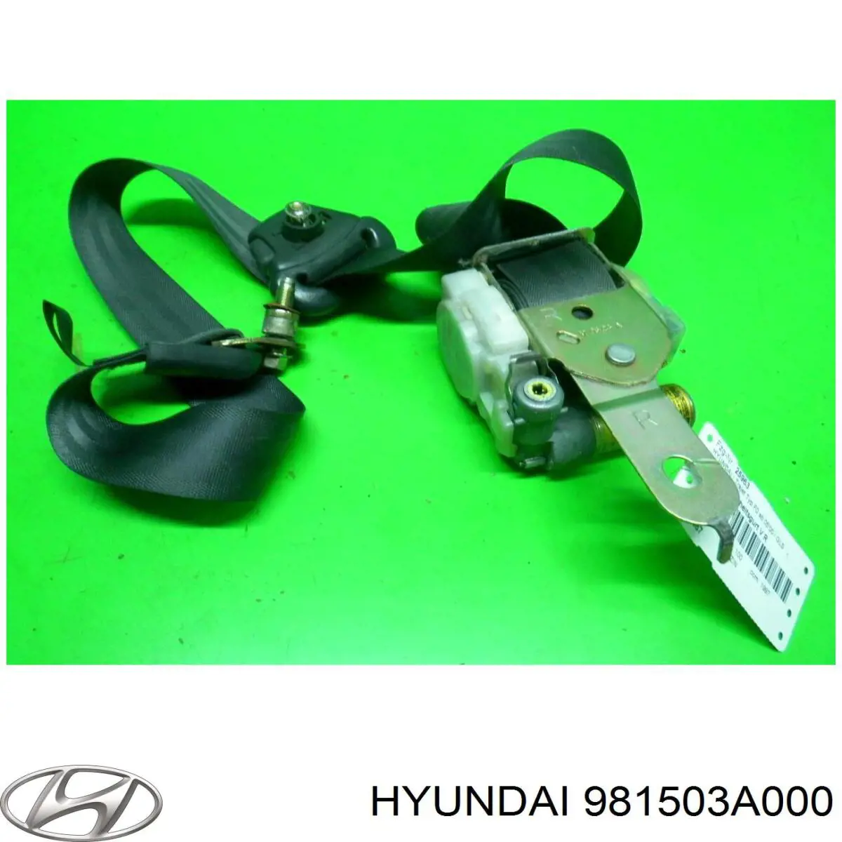 981503A000 Hyundai/Kia 