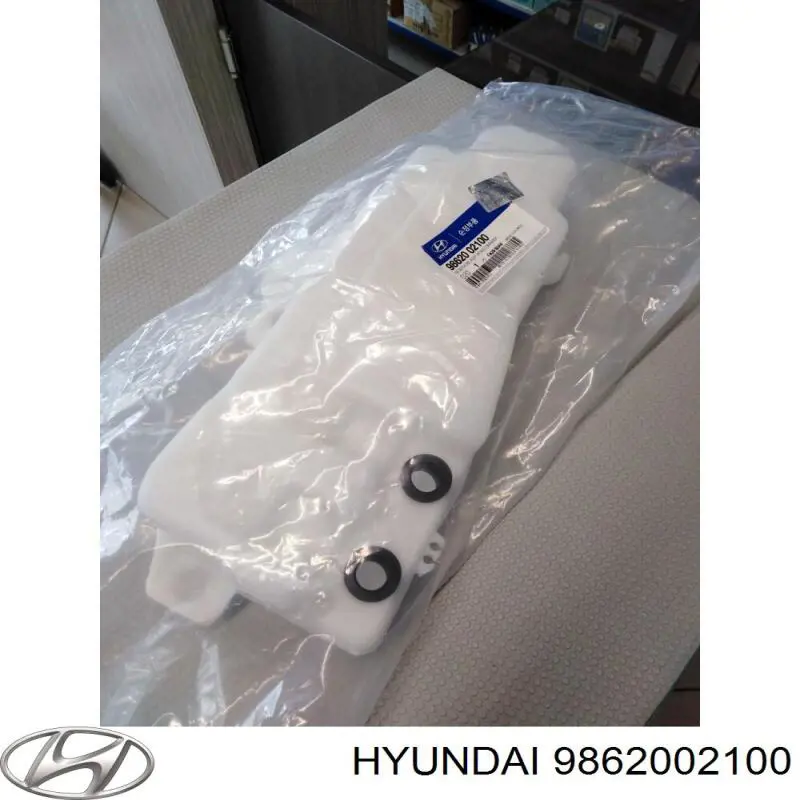 Бачок омивача лобового скла Polcar 4041ZBS1 ціна, від 12.41 USD