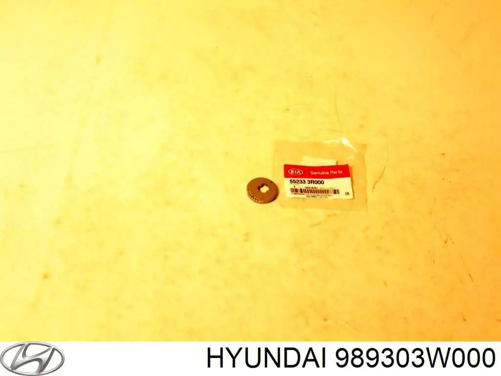 989303W000 Hyundai/Kia Омивач скла дверей задка