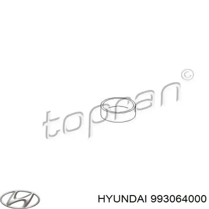 Заглушка блоку циліндрів 993064000 Hyundai/Kia