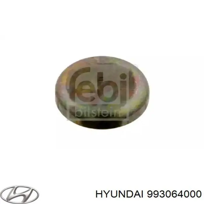 993064000 Hyundai/Kia заглушка гбц/блоку циліндрів