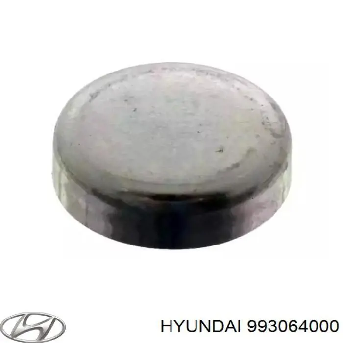Купити 993064000 Hyundai/Kia Заглушка блоку циліндрів