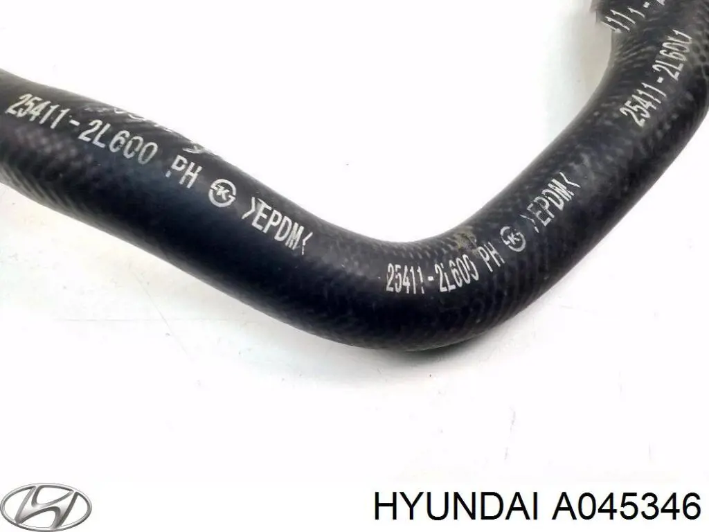 A045346 Hyundai/Kia 