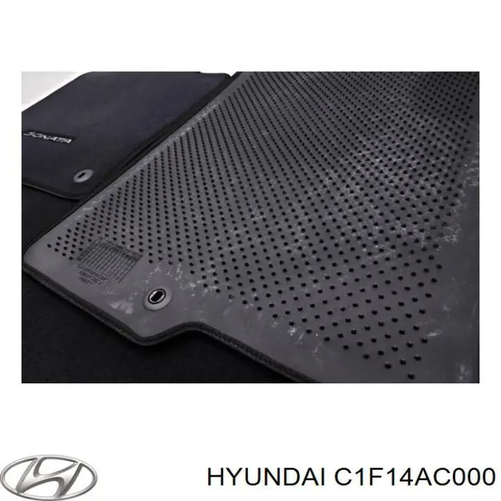 C1F14AC000 Hyundai/Kia 