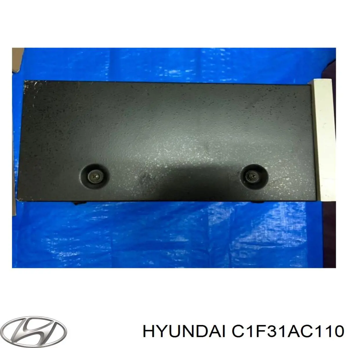 Купити C1F31AC110 Hyundai/Kia 