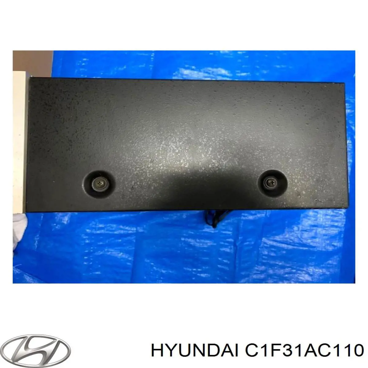 C1F31AC110 Hyundai/Kia 