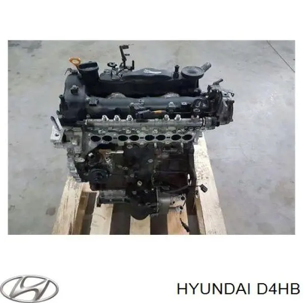Мотор в зборі на Hyundai Santa Fe III DM
