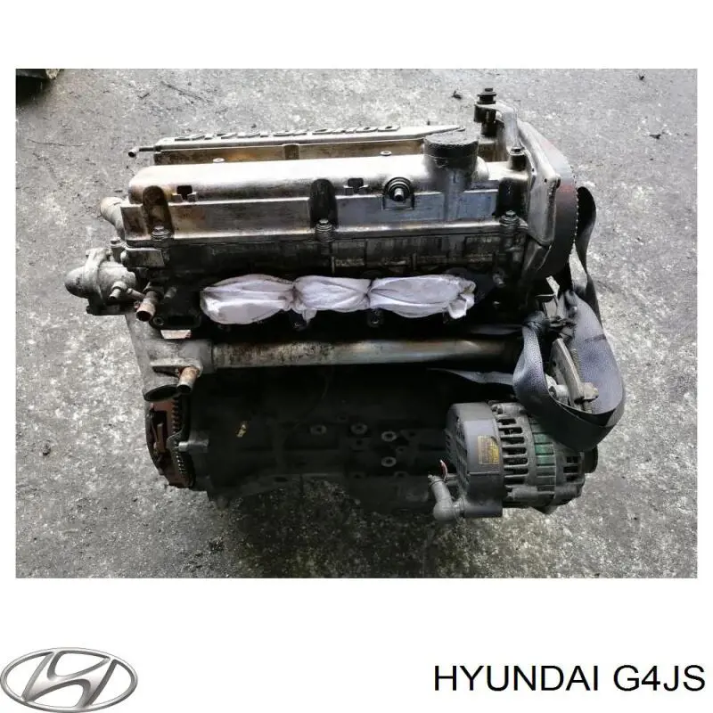 G4JS Hyundai/Kia Мотор в зборі