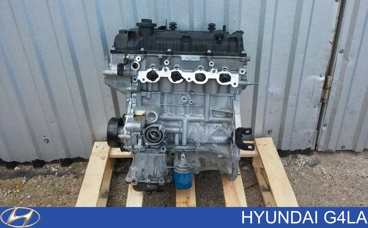 Мотор в зборі на KIA Rio III UB