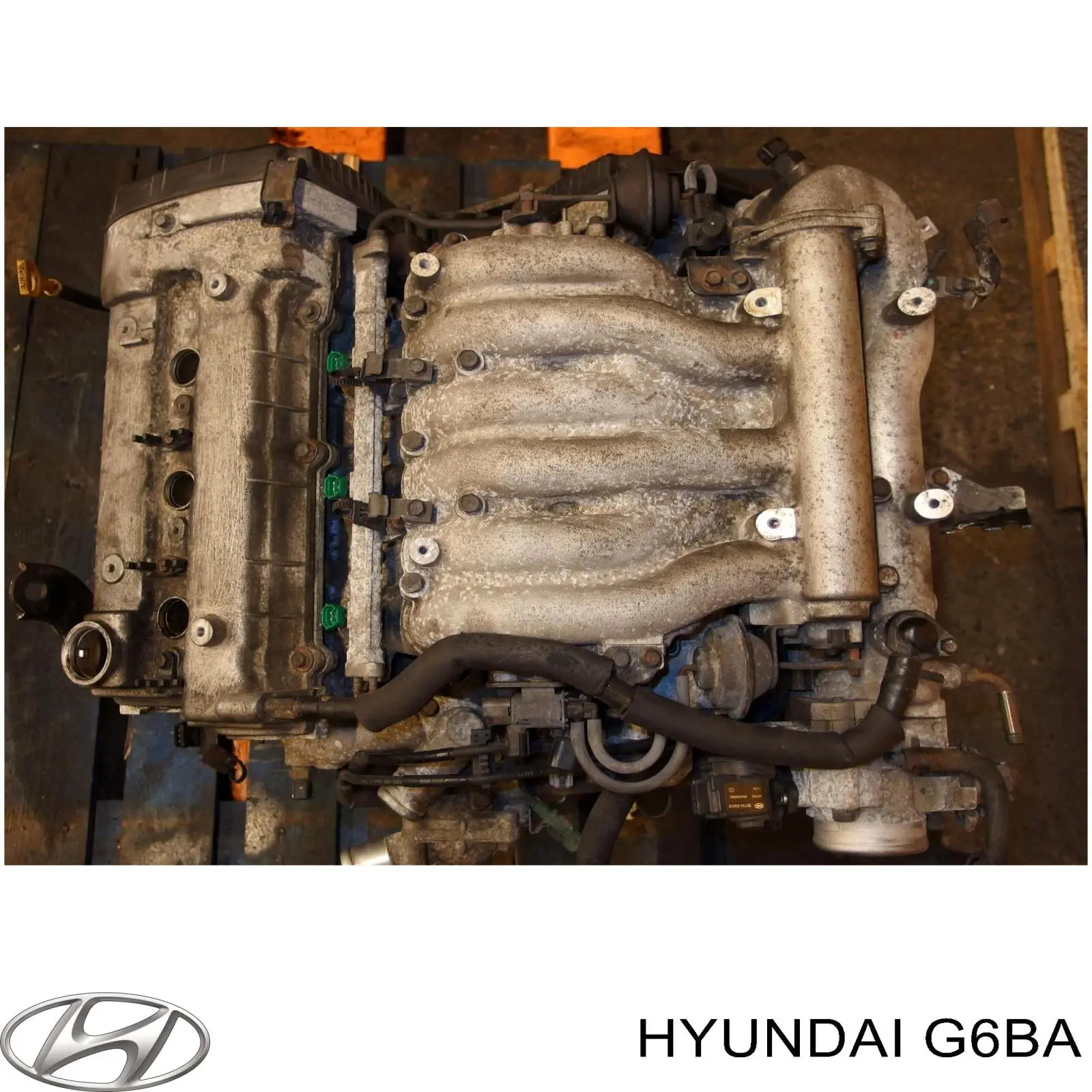 ДВЗ Hyundai/Kia G6BA ціна, від 1285.30 USD