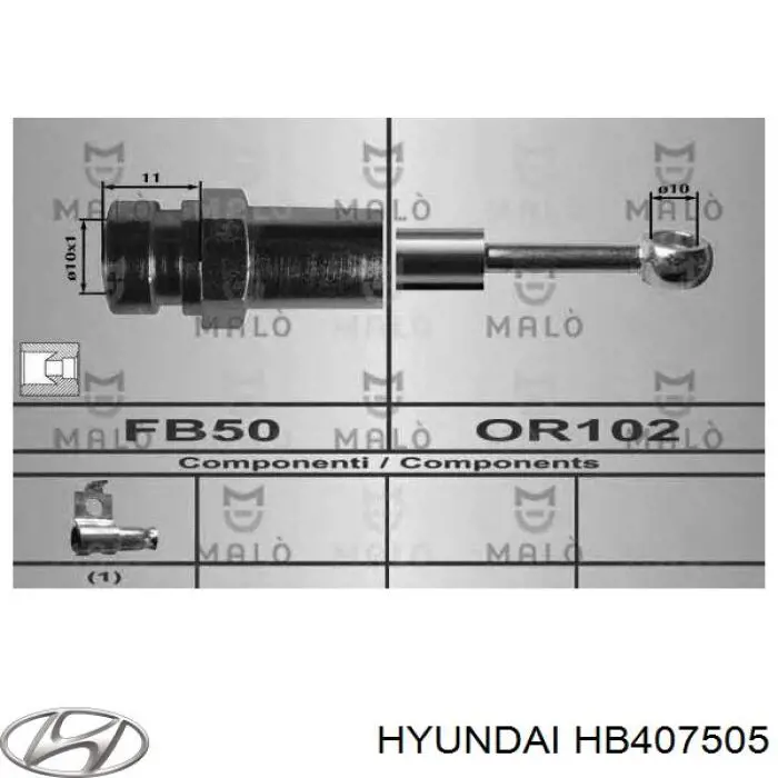 Шланг гальмівний передній, лівий Hyundai/Kia HB407505 ціна, від 15.84 USD