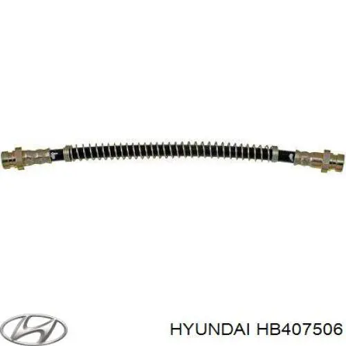 Гальмівний шланг Hyundai/Kia HB407506