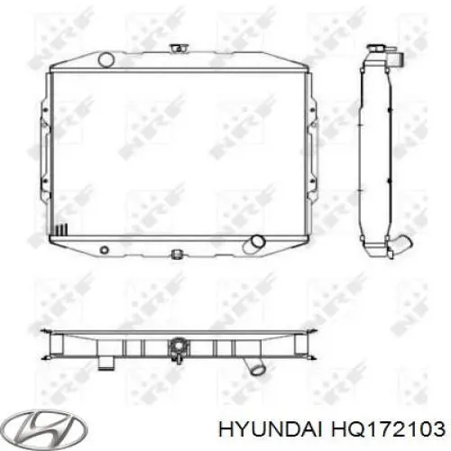 HQ172103 Hyundai/Kia Радіатор охолодження двигуна